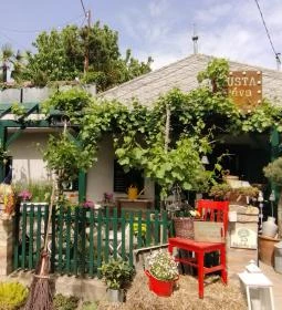 Lusta Páva Borbár és Pince