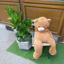 Mackó Cukrászda és Snack Veszprém - Egyéb