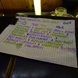 Macska Budapest - Étlap/itallap