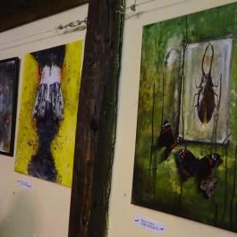 Macska Budapest - Belső