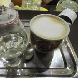 Macska Budapest - Egyéb