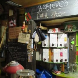 Macska Budapest - Egyéb