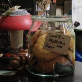 Macska Budapest - Egyéb