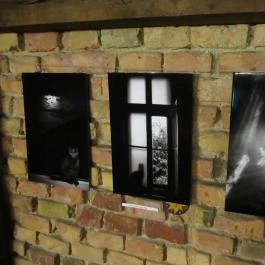 Macska Budapest - Egyéb