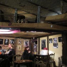 Macska Budapest - Egyéb