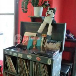 Mad Dog Cafe Haus Budapest - Belső