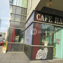 Mad Dog Cafe Haus Budapest - Külső kép