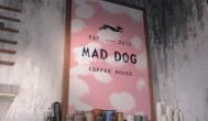 Mad Dog Coffee - Hangár Budapest - Egyéb