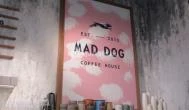 Mad Dog Coffee - Hangár Budapest - Belső