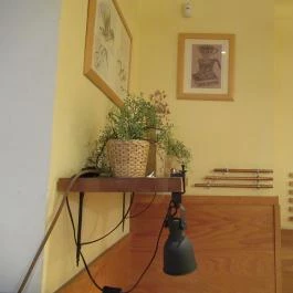 Madal Cafe - Hollán Ernő utca, Budapest - Belső