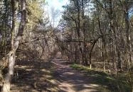 Madárszirt és a Százlépcső Biatorbágy