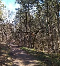 Madárszirt és a Százlépcső