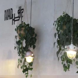 Madhouse Budapest - Egyéb