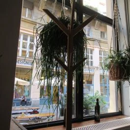 Madhouse Budapest - Egyéb