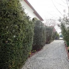 Mádi Udvarház Mád - Egyéb