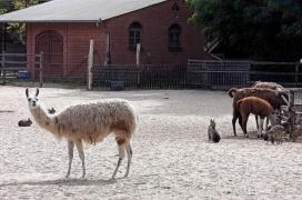Magán Zoo Felsőlajos