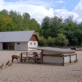 Magán Zoo, Felsőlajos - Egyéb