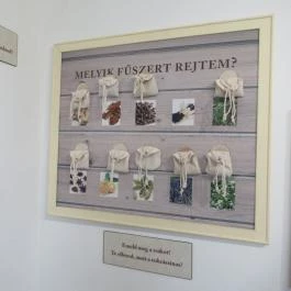 Magyar Kereskedelmi és Vendéglátóipari Múzeum Budapest - Egyéb