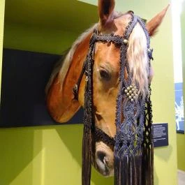 Magyar Mezőgazdasági Múzeum és Könyvtár Budapest - Egyéb