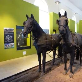 Magyar Mezőgazdasági Múzeum és Könyvtár Budapest - Egyéb