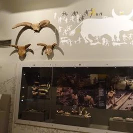 Magyar Nemzeti Múzeum Budapest - Egyéb