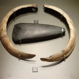 Magyar Nemzeti Múzeum Budapest - Egyéb