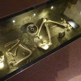 Magyar Nemzeti Múzeum Budapest - Egyéb