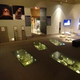 Magyar Nemzeti Múzeum Budapest - Egyéb