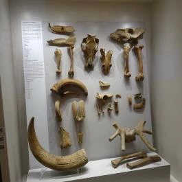 Magyar Nemzeti Múzeum Budapest - Egyéb