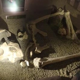 Magyar Nemzeti Múzeum Budapest - Egyéb