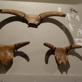 Magyar Nemzeti Múzeum Budapest - Egyéb