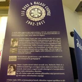 Magyar Népi Iparművészeti Múzeum Budapest - Egyéb