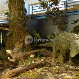 Magyar Természettudományi Múzeum, Budapest - Belső