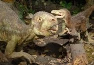 Magyar Természettudományi Múzeum Budapest