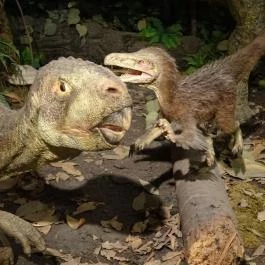 Magyar Természettudományi Múzeum Budapest - Egyéb