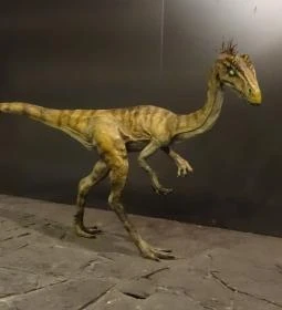 Magyar Természettudományi Múzeum