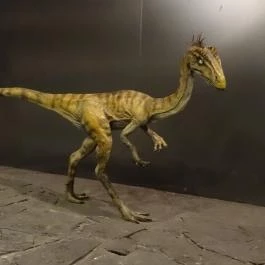 Magyar Természettudományi Múzeum Budapest - Egyéb