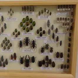 Magyar Természettudományi Múzeum Budapest - Egyéb