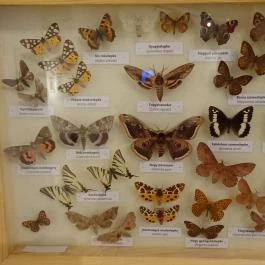 Magyar Természettudományi Múzeum Budapest - Egyéb