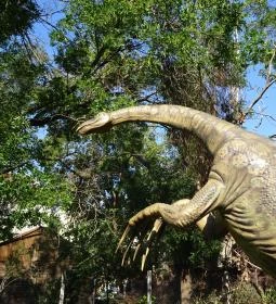 Magyar Természettudományi Múzeum