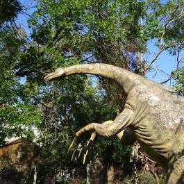 Magyar Természettudományi Múzeum Budapest - Egyéb