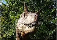 Magyar Természettudományi Múzeum Budapest