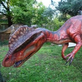 Magyar Természettudományi Múzeum Budapest - Egyéb