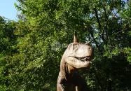 Magyar Természettudományi Múzeum Budapest