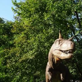 Magyar Természettudományi Múzeum Budapest - Egyéb