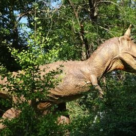 Magyar Természettudományi Múzeum Budapest - Egyéb