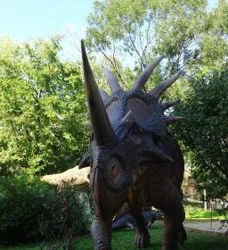 Magyar Természettudományi Múzeum