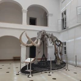 Magyar Természettudományi Múzeum Mátra Múzeuma, Gyöngyös - Egyéb