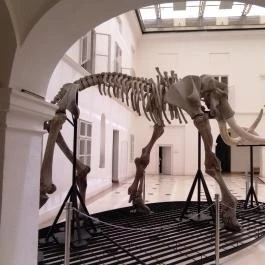 Magyar Természettudományi Múzeum Mátra Múzeuma, Gyöngyös - Egyéb