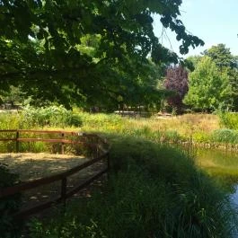 Magyar Természettudományi Múzeum Mátra Múzeuma, Gyöngyös - Egyéb